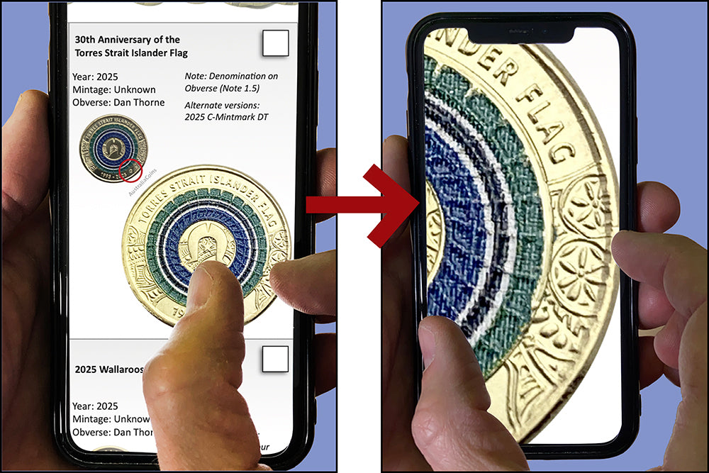 Pirate Guide to Collecting Australian Coins DIGITAL eBook 2024-2025 edition